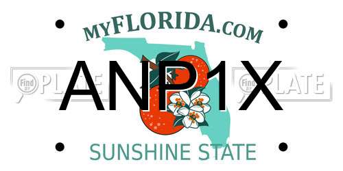 ANP1X Florida License Plate
