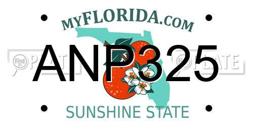 ANP325 Florida License Plate