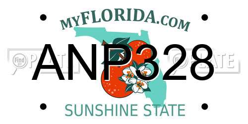 ANP328 Florida License Plate