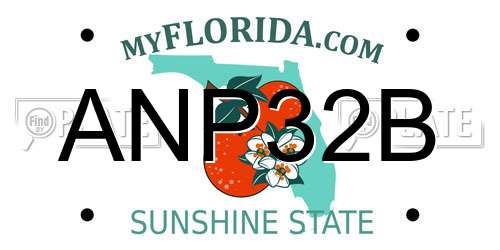 ANP32B Florida License Plate