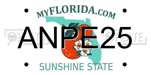 ANPE25 Florida License Plate