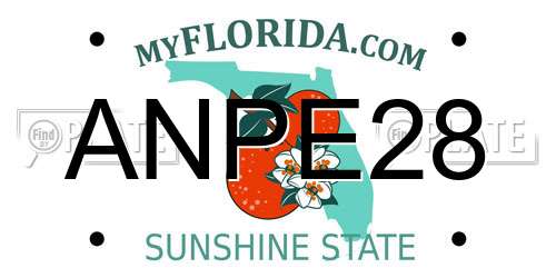 ANPE28 Florida License Plate