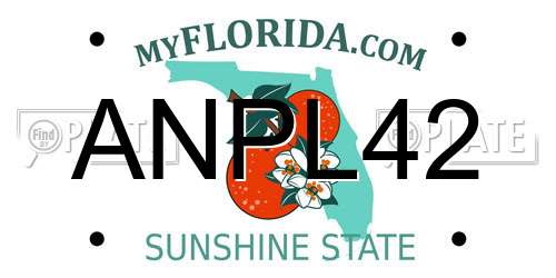 ANPL42 Florida License Plate
