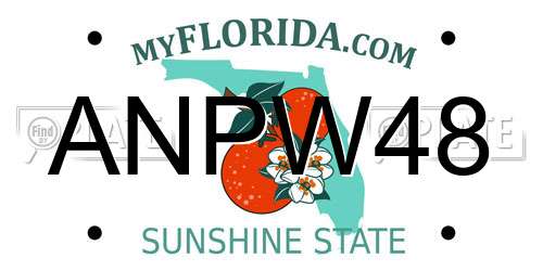 ANPW48 Florida License Plate