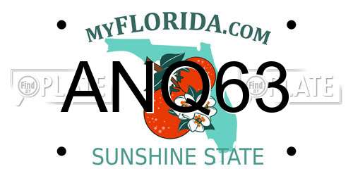 ANQ63 Florida License Plate