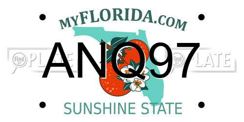 ANQ97 Florida License Plate