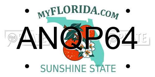 ANQP64 Florida License Plate