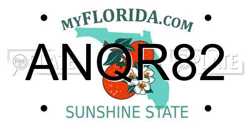 ANQR82 Florida License Plate