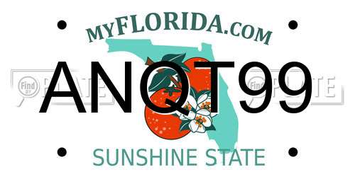 ANQT99 Florida License Plate