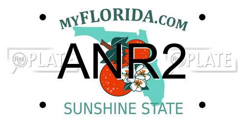 ANR2 Florida License Plate