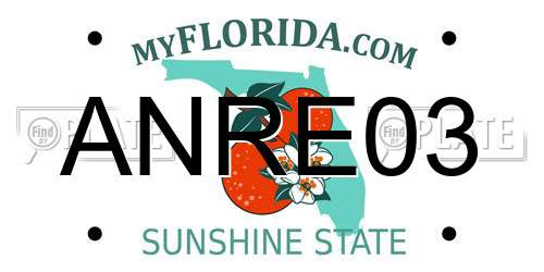 ANRE03 Florida License Plate