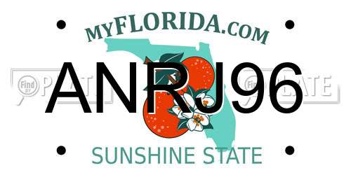ANRJ96 Florida License Plate
