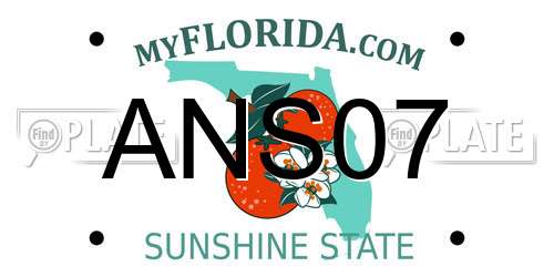 ANS07 Florida License Plate