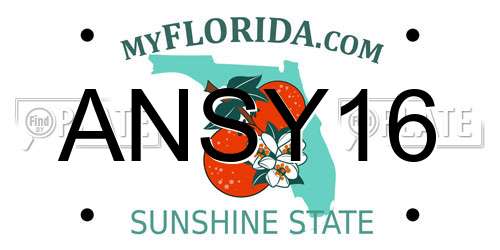 ANSY16 Florida License Plate