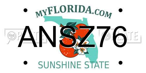 ANSZ76 Florida License Plate