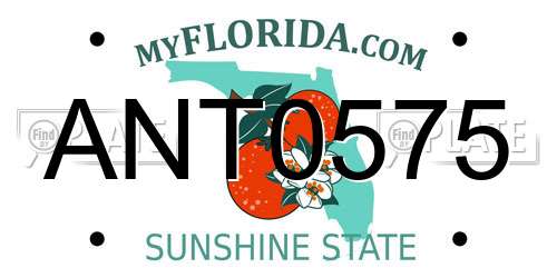 ANT0575 Florida License Plate