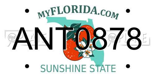 ANT0878 Florida License Plate