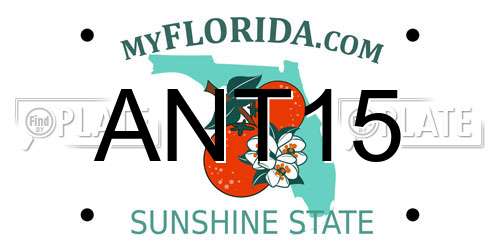 ANT15 Florida License Plate