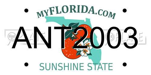 ANT2003 Florida License Plate