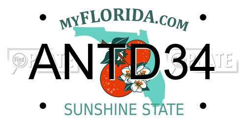 ANTD34 Florida License Plate