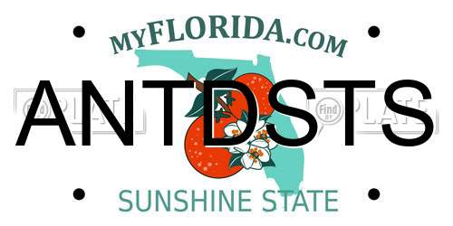 ANTDSTS Florida License Plate