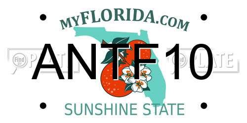 ANTF10 Florida License Plate