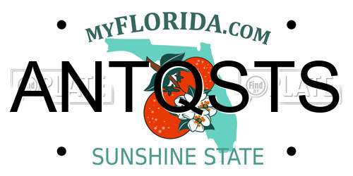 ANTQSTS Florida License Plate
