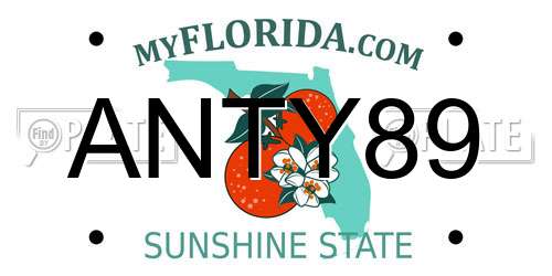 ANTY89 Florida License Plate