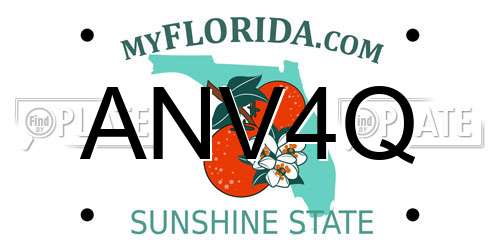 ANV4Q Florida License Plate