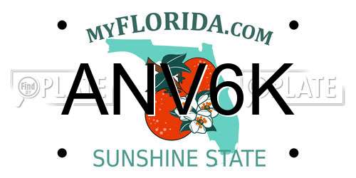 ANV6K Florida License Plate