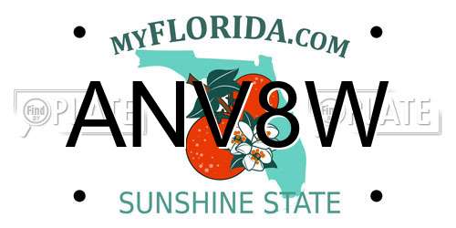 ANV8W Florida License Plate