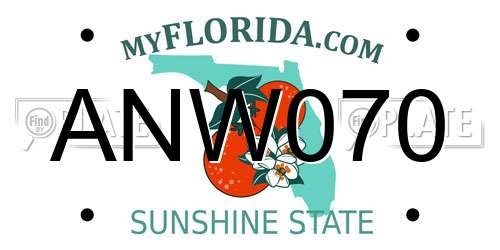 ANW070 Florida License Plate