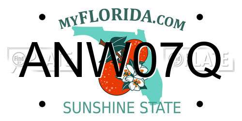 ANW07Q Florida License Plate