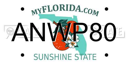 ANWP80 Florida License Plate