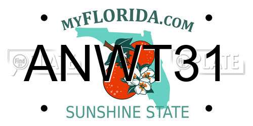 ANWT31 Florida License Plate