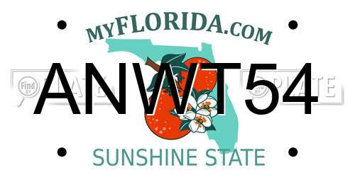 ANWT54 Florida License Plate