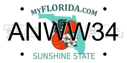 ANWW34 Florida License Plate
