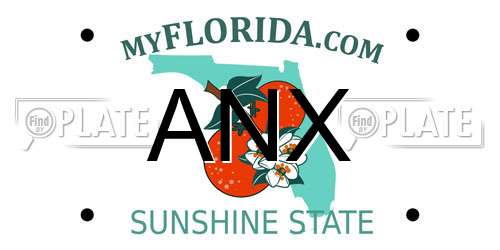 ANX Florida License Plate
