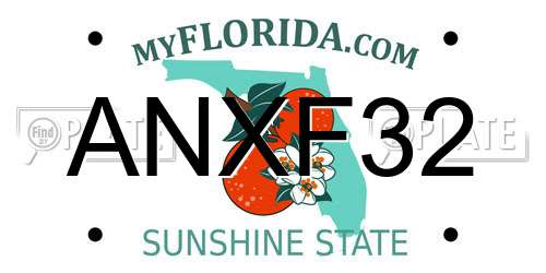 ANXF32 Florida License Plate
