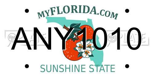 ANY1010 Florida License Plate