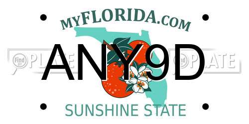 ANY9D Florida License Plate