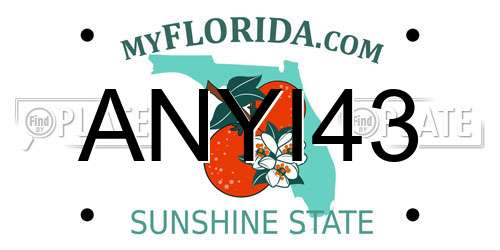 ANYI43 Florida License Plate