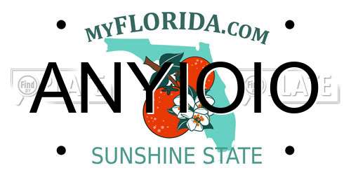 ANYIOIO Florida License Plate