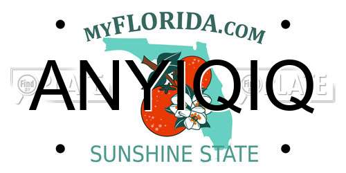 ANYIQIQ Florida License Plate