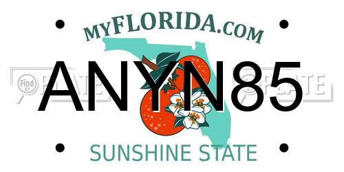 ANYN85 Florida License Plate