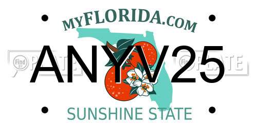 ANYV25 Florida License Plate