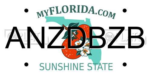 ANZDBZB Florida License Plate