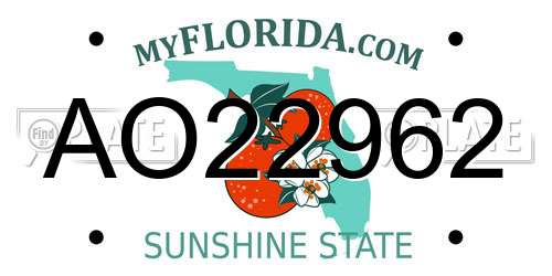 AO22962 Florida License Plate