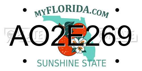 AO2E269 Florida License Plate