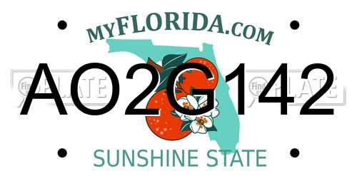 AO2G142 Florida License Plate